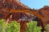 USA Escalante natural bridge.JPG